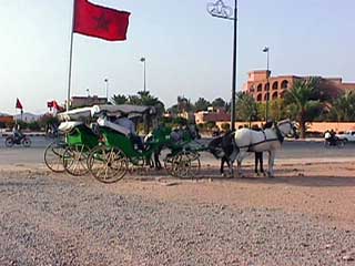 La caleche, la deux chevaux de Marrakech
